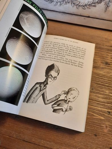 George's Secret Key to the Universe, By Lucy and Stephen Hawking