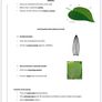 Leaving Cert Biology Institute Notes Image 4