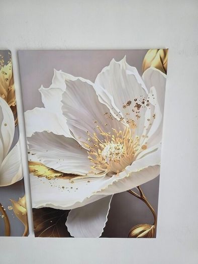 Set of 3 framed canvas