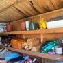 Wooden Shed 2.5m x 3.2m Image 3