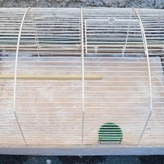 transport cage