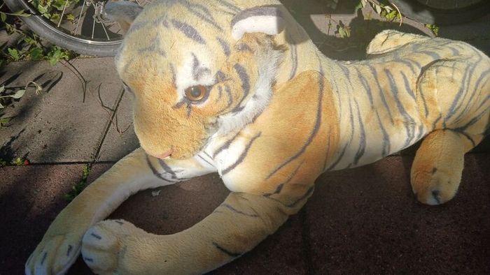 large Tiger teddy for collection today Dublin 13