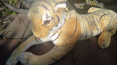 large Tiger teddy for collection today Dublin 13