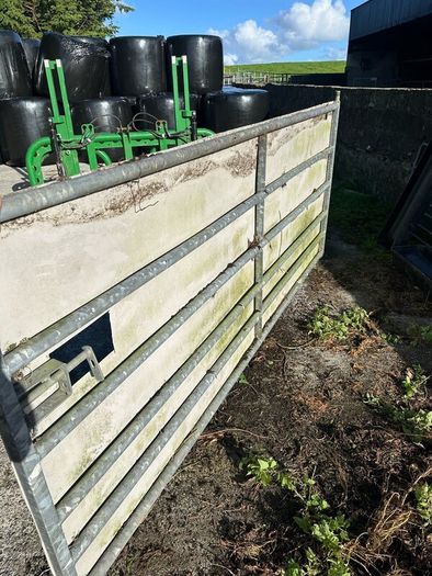 10ft farm gates x2