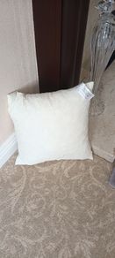 16" Feather Cushion Filler.