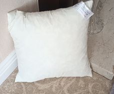 FREE 16" Feather Cushion Filler.