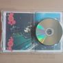Paul Weller Live at the Royal Albert Hall DVD Music Concert 2000 Image 6