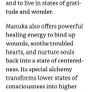 Manuka Essential Oil - Limited Edition Image 3