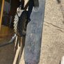 electric scooter Image 3