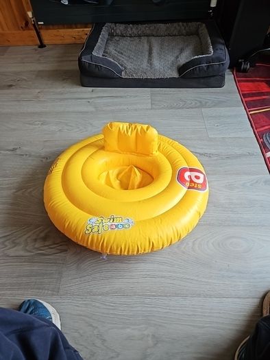 Baby Swimming Ring
