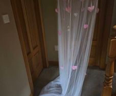 Pink bed canopy