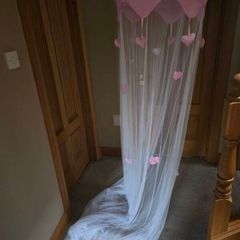 Pink bed canopy