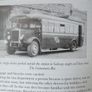 A Real Galwegian Image 2