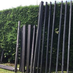Glasshouse