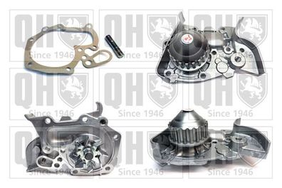 Water pump QCP3484 for Dacia Solenza / Renault Megane I, Kangoo I, Clio II