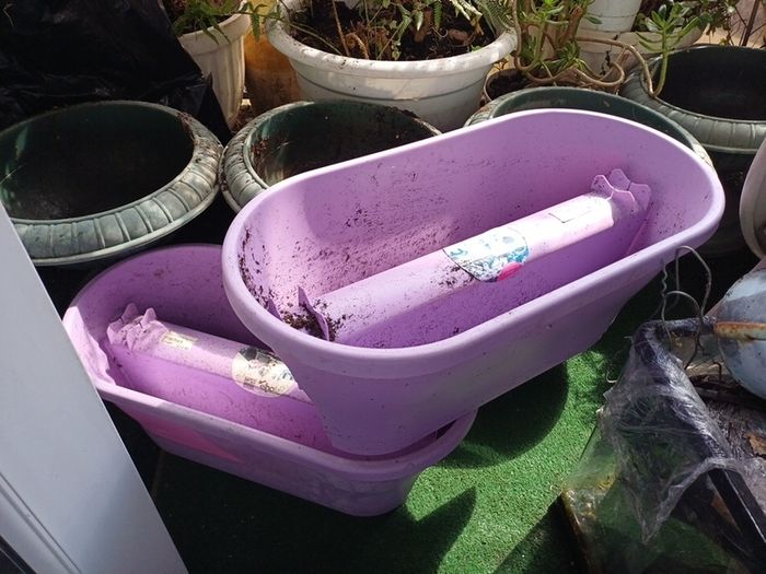 6 Flower pots