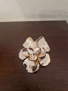 brooch