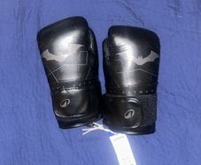 Boxing Gloves 10z (brand New)