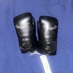 Boxing Gloves 10z (brand New)