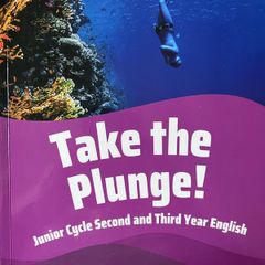 Take the Plunge -new book