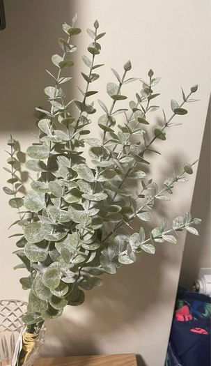 Artificial Eucalyptus