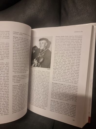 Companion to Irish Traditional Music (Hardback)