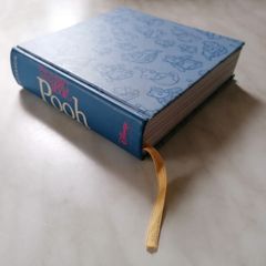 Winnie-The-Pooh Book