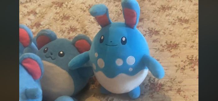 Pokemon Generation Plush Collection
