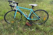 Trek Lexa Lightweight Road Bike