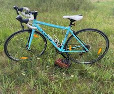 Trek Lexa Lightweight Road Bike