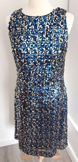 Stunning Sequined Party Dress 10