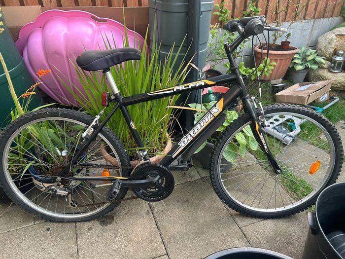 Adult Mountain bike