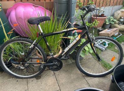 Adult Mountain bike