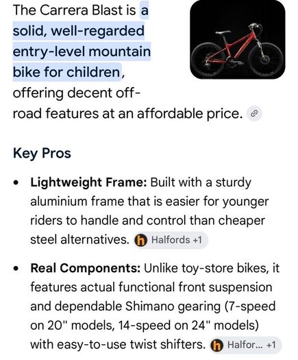 Carrera Blast Junior Mountain Bike 24