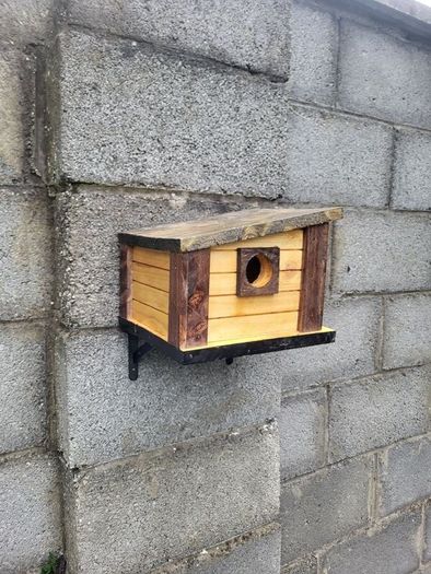 Bird house