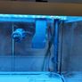 Eheim Aquastar 63 Marine with cabinet  + fluval 207 canister filter Image 5