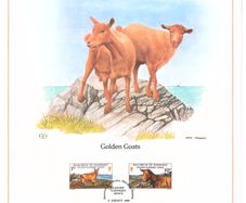 1980 Guernsey Limited Edition Lithographed Print measuring 333mm X 257mm showing Golden Guernsey Goats Commemorative stamps with First Day of Issue Cancel