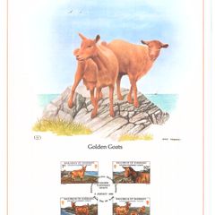1980 Guernsey Limited Edition Lithographed Print measuring 333mm X 257mm showing Golden Guernsey Goats Commemorative stamps with First Day of Issue Cancel