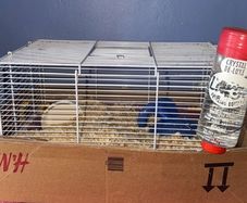 Mice