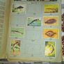Cadbury's More British Marvels Album No. 2 1930s Cigarette Card Album Postage Available or Collection, Image 5