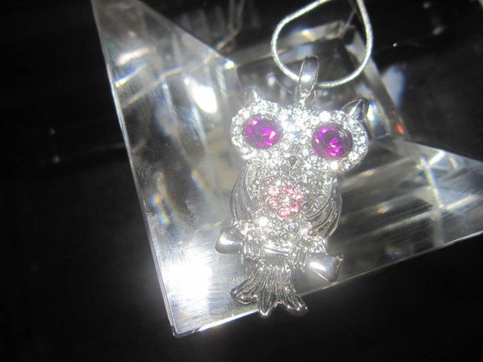 Cute Owl Pendant and Chain