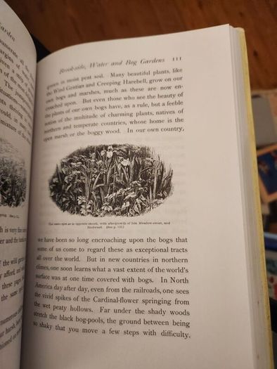 The Wild Garden. By William Robinson. Hardback With Dustjacket In Good Condition.