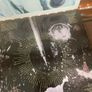 Pixies - Trompe Le Monde (First Press) Image 6