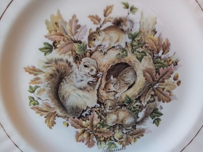 Rosewood China Collectors Plate With Squirrels
