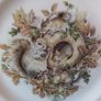 Rosewood China Collectors Plate With Squirrels Image 3