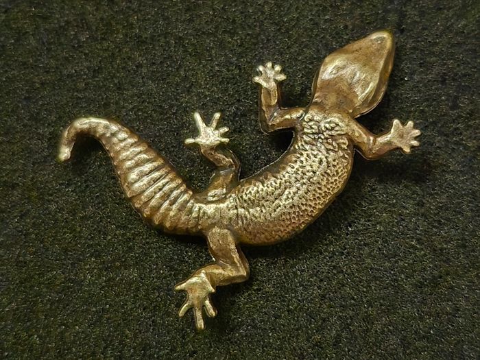 3 brass lizards.