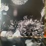 Mudhoney - Superfuzz Bigmuff Image 6