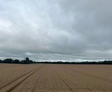winter wheat straw, chopped 4x4 bale 23