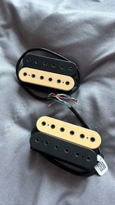 Dimarzio Evolution pickups