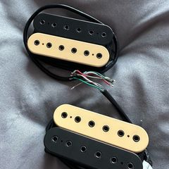 Dimarzio Evolution pickups
